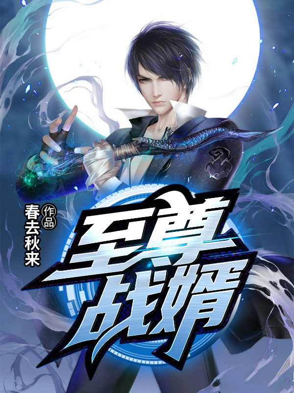 至尊战婿