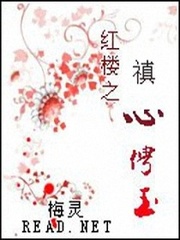 红楼之禛心俜玉