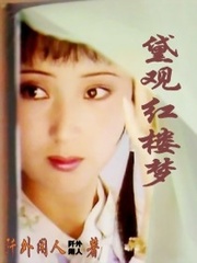 黛观红楼梦