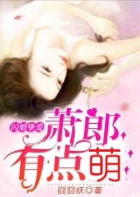 闪婚挚爱：萧郎有点萌