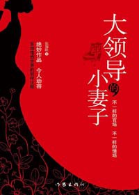 大领导的小妻子